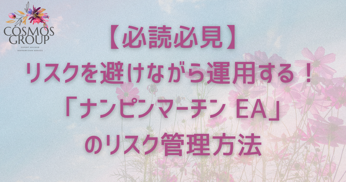ナンピンマーチン リスク管理方法